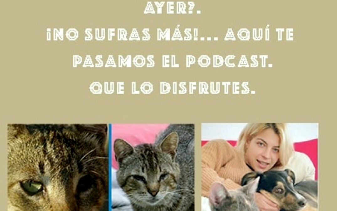 Podcast Lenguas de Gato. Programa 8
