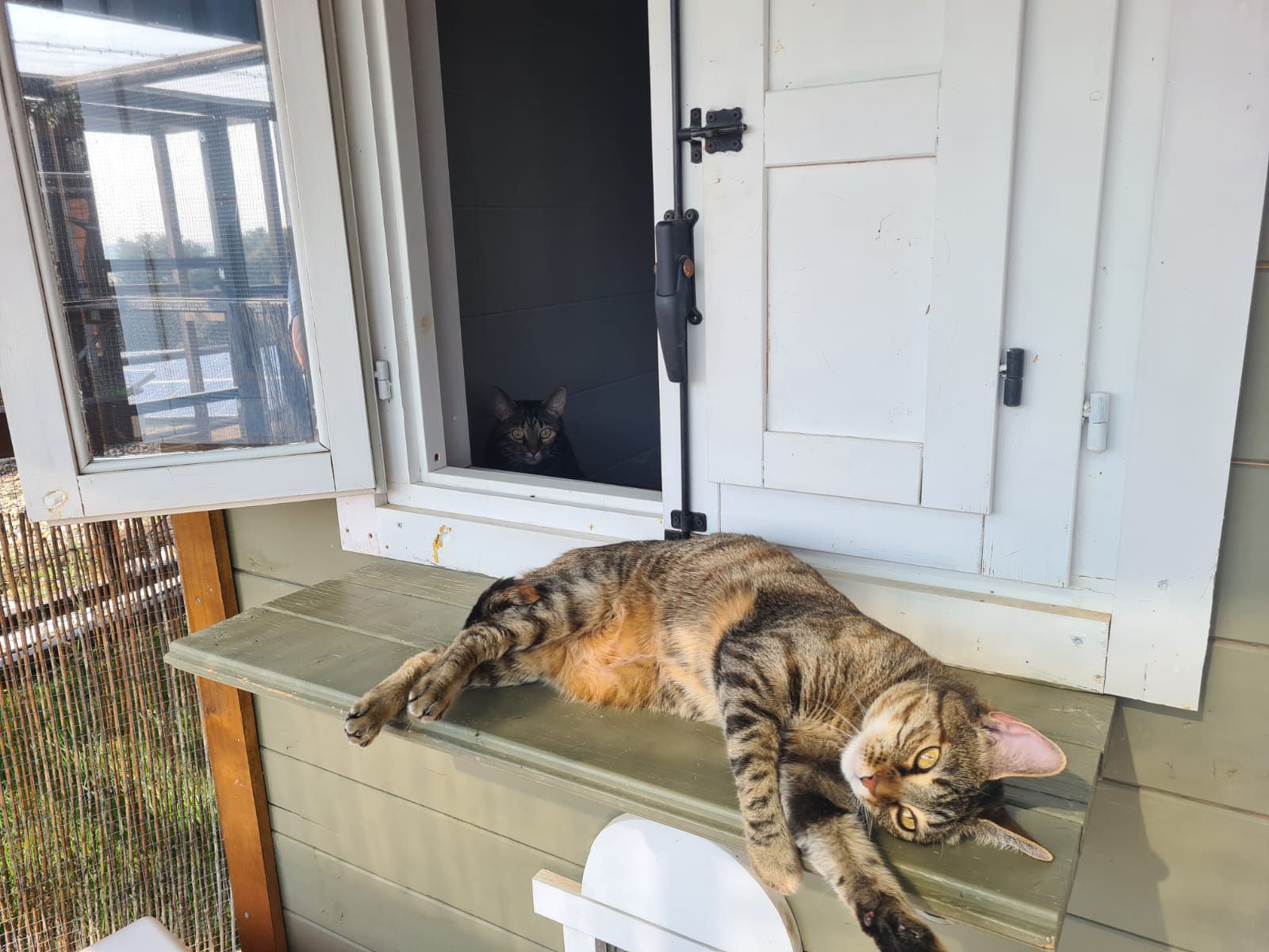 WhatsApp Image 2025-12-03 at 18.39.46